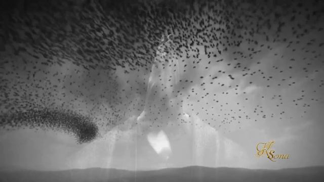 Пикник - Мы, как трепетные птицы смотреть онлайн