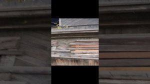 1000016580.mp4Ржев.10.03.2024г.