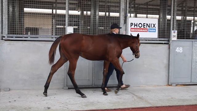 Lot 290 - Anders x Missed The Alarm смотреть онлайн