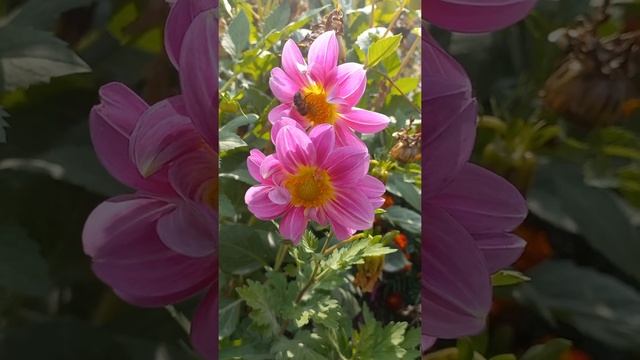 Музыка до глубины души,трогает,душу!хочется слушать бесконечно