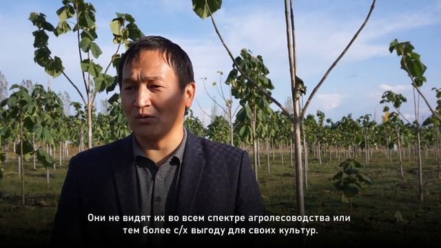 Poplar Research And Utilization In Central Asia - Russian | Part 2