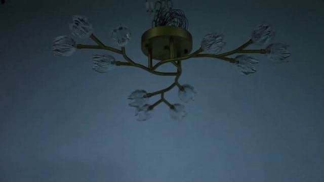 Потолочная люстра F-Promo Pelerina 2622-12U смотреть онлайн