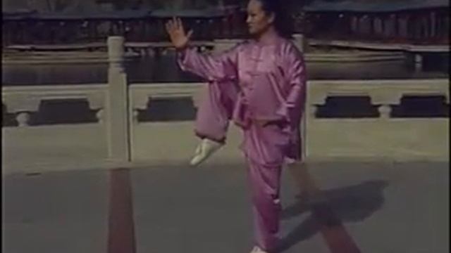 Тайцзицюань стиль Ян, комплекс 24 формы - 6 гр медл смотреть онлайн