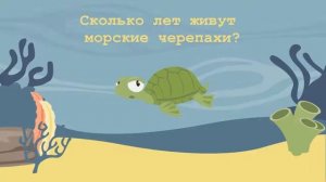 Викторина. Подводный мир