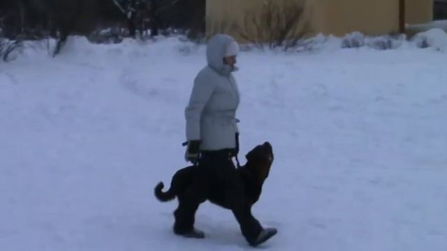 Райфа тренинг ВН смотреть онлайн