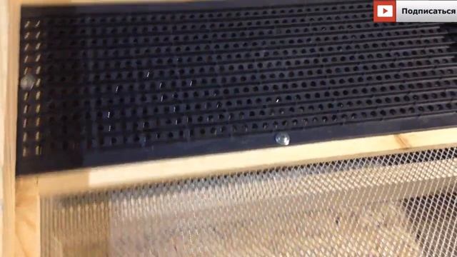 Пыльцесборник донный! Своими руками смотреть онлайн