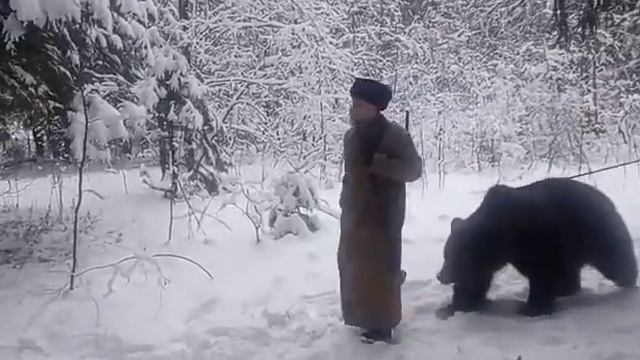 Медведь на съемках фильмаI 8(916)702-11-08 Москва смотреть онлайн