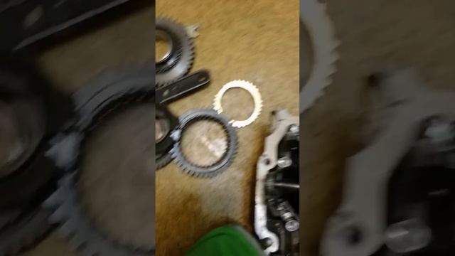 Растения в моем городе