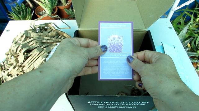 UNBOXING- Barry's Cactus Club - The Subscription For The Plant Obsessed