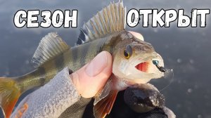 Лесотка с бусинкой - первый лед - безмотылка плюс