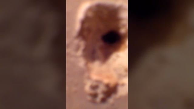 Девушка закрылась и выслушивала крики соседей смотреть онлайн