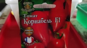 ПОСЕВ ТОМАТА/ПОМИДОРА КОРНАБЕЛЬ F1#семена#посевы #помидоры#томаты#корнабель#торфобрикет #овощи#весна