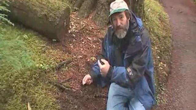 Squirrel hunting truffles смотреть онлайн