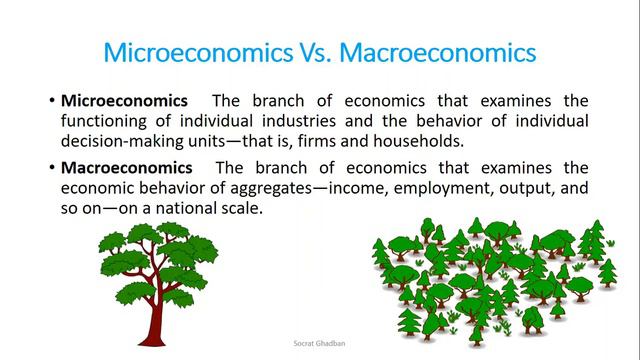 What Is Economics? Choice And Opportunity Cost
