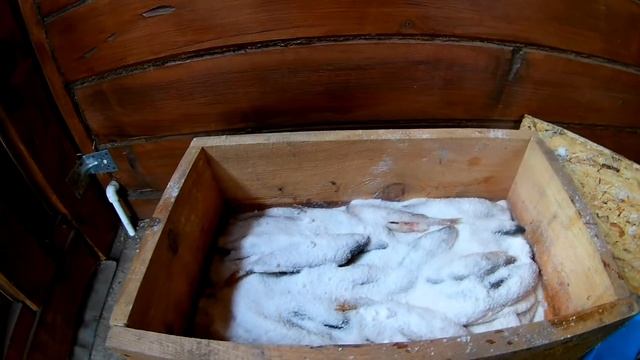 Веганские Рецепты