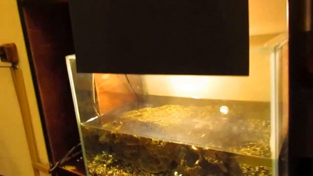 Клуб Чайной Культуры смотреть онлайн