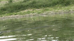 Удочка с Алиэкспресс. Обзор махового удилища 3.9 метра, 28 класс. Топовое удилище по цене бюджетног