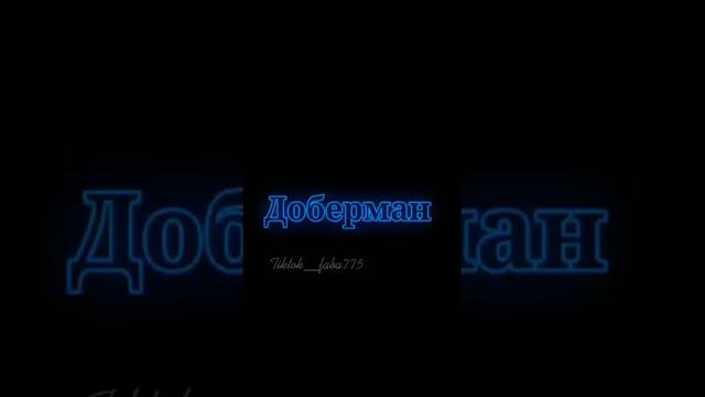Эдиты с //доберман//🖤🐕👑 смотреть онлайн