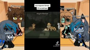 Реакция Синей Звезды, Жёлудя, Синегривки и Дроздовика на Огнезвёзда