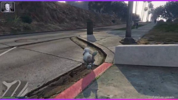 GTA Online (Лофофора): Пудель