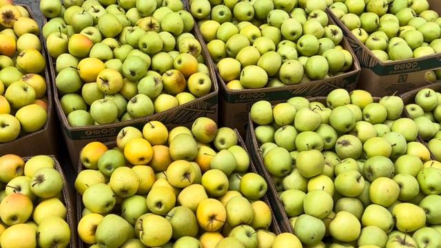 Цены На Овощи и Фрукты. смотреть онлайн