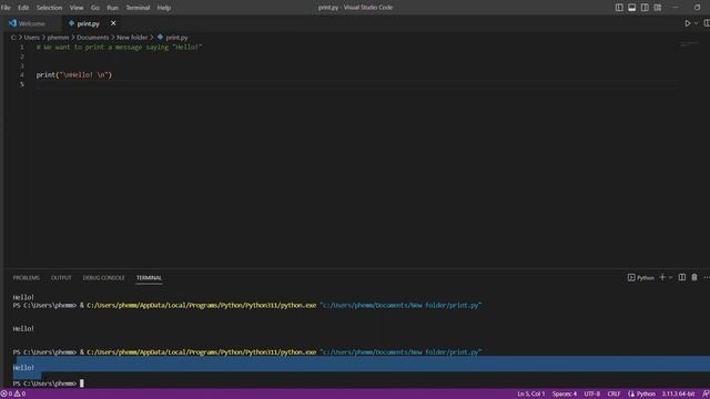 Print module and Input module in python смотреть онлайн