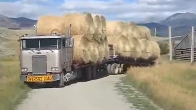 Как американцы сено возят смотреть онлайн