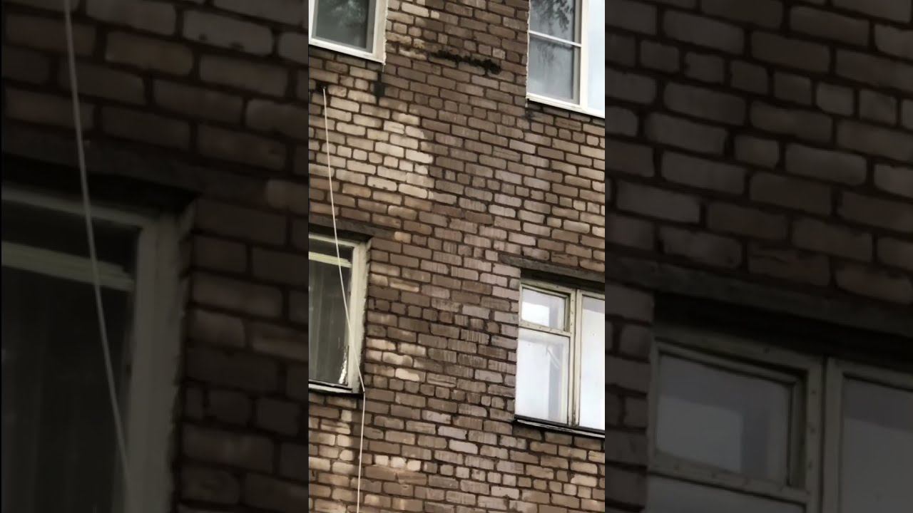 После кап ремонта крыша ещё больше потекла. смотреть онлайн