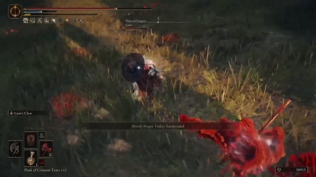 The Orphan [Elden Ring PvP] - Anti-bleed Gank Hunting Monstrosity смотреть онлайн