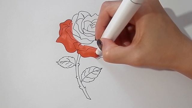 Как ПРОСТО И ПОЭТАПНО нарисовать КРАСИВУЮ РОЗУ/841/How to draw a BEAUTIFUL ROSE IN simple STEPS смотреть онлайн