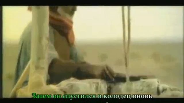 Милосердие к животным смотреть онлайн