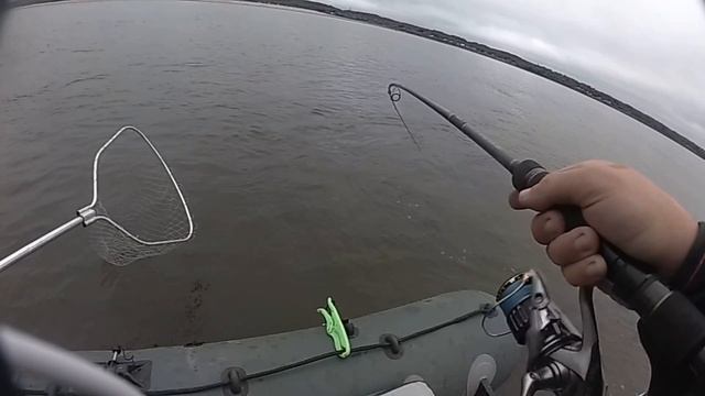 Рыбалка на Оби в Томской области. Трофейная щука в сентябре смотреть онлайн