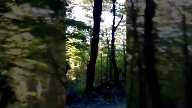,,...ты сама как пончик...'' ) 07.05.2015 Ялта, Учан су смотреть онлайн