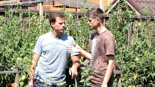 РЕЗУЛЬТАТЫ АНАЛИЗА ПОЧВЫ И ПЛОДА НА МИНЕРАЛЬНОМ И ОРГАНИЧЕСКОМ УДОБРЕНИЕ смотреть онлайн