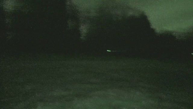 Ночью в лесу! срашно? смотреть онлайн