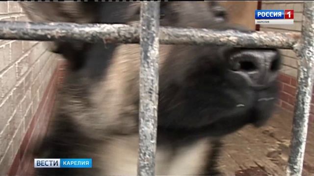 25 января В России отмечают день студента смотреть онлайн