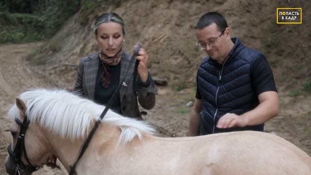 Фотосессия с лошадьми: конный клуб "СТИХИЯ" смотреть онлайн