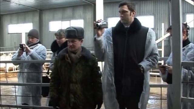 Обрезка копыт смотреть онлайн