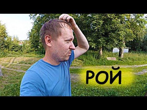 ЧТО ЭТО БЫЛО??? ВСЁ ФИГНЯ, КРОМЕ ПЧЁЛ смотреть онлайн