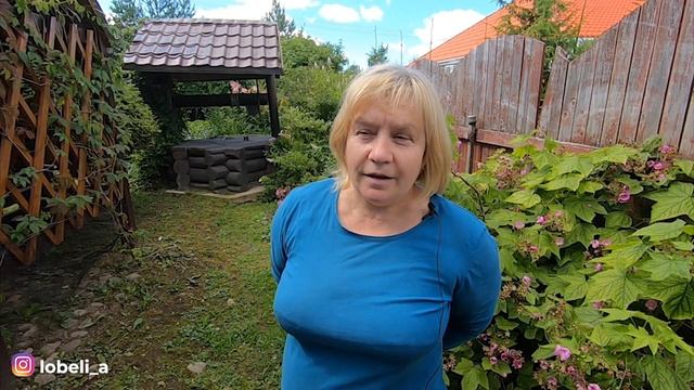 СУПЕР удобрение из слизней и улиток: как приготовить домашее биоудобрение и справиться с улитками смотреть онлайн