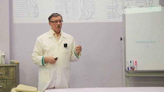 Меридиональная система в акупунктуре. Кононов Владимир смотреть онлайн