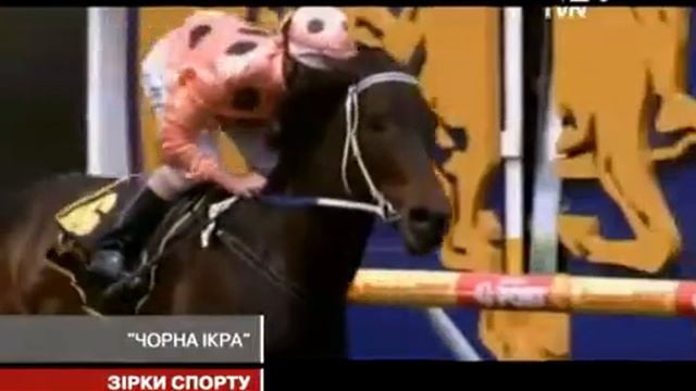 "ЧЕРНАЯ ИКРА" - ОДНА ИЗ СИЛЬНЕЙШИХ КОБЫЛ ПЛАНЕТЫ смотреть онлайн