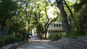 Crimea. Sanatorium "Morskoy priboy". Крым. Санаторий "Морской прибой".