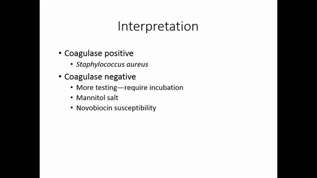 Identification of Staphylococcus смотреть онлайн