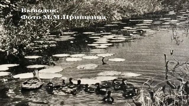 Усадебное ожерелье Москвы. Дунино.Виртуальное путешествие из цикла "Усадебное ожерелье Москвы" смотреть онлайн