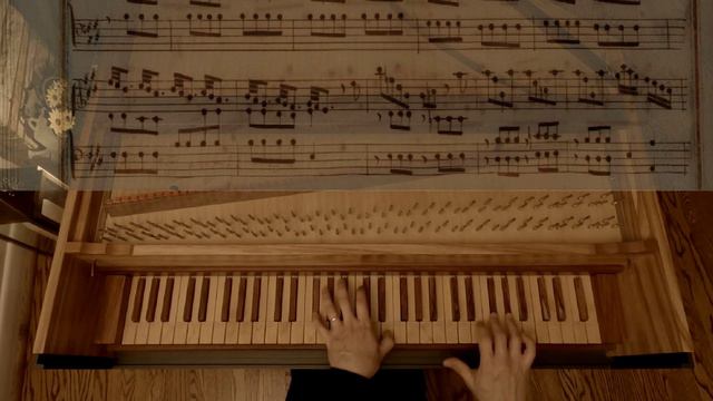 Scarlatti | Sonata K. 162 in E major | David Louie смотреть онлайн