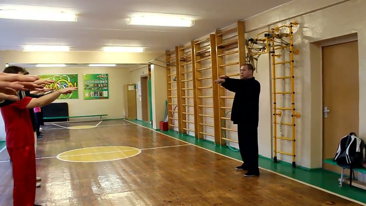 Семинар Петра Осипова по тайцзи цюань семьи Чзнь в передаче Чэнь Юя в Минске 2012 год Ч2 смотреть онлайн