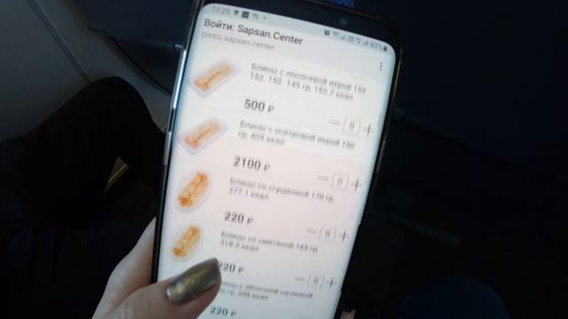 Поезд Сапсан обзор - цены, услуги и вагон эконом класса из СПб в Москву. 5 вагон. смотреть онлайн