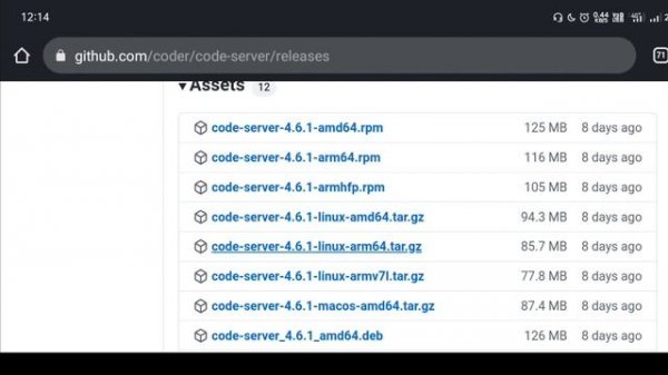 ./code-server: 36: exec: /data/data/com.termux/files/home/code-server-4.6.1-linux-arm64/lib/node: