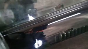 Как убрать голограмму на черном цвете.